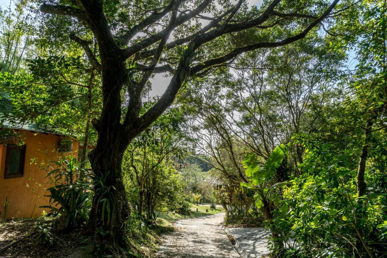 Coração Da Terra Do Rosa 2*